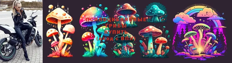 цена наркотик  Верея  мориарти состав  Псилоцибиновые грибы Psilocybe 